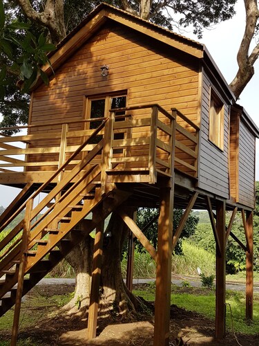 Tree house in a litchi