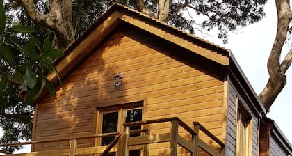 Tree house in a litchi