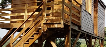 Tree house in a litchi