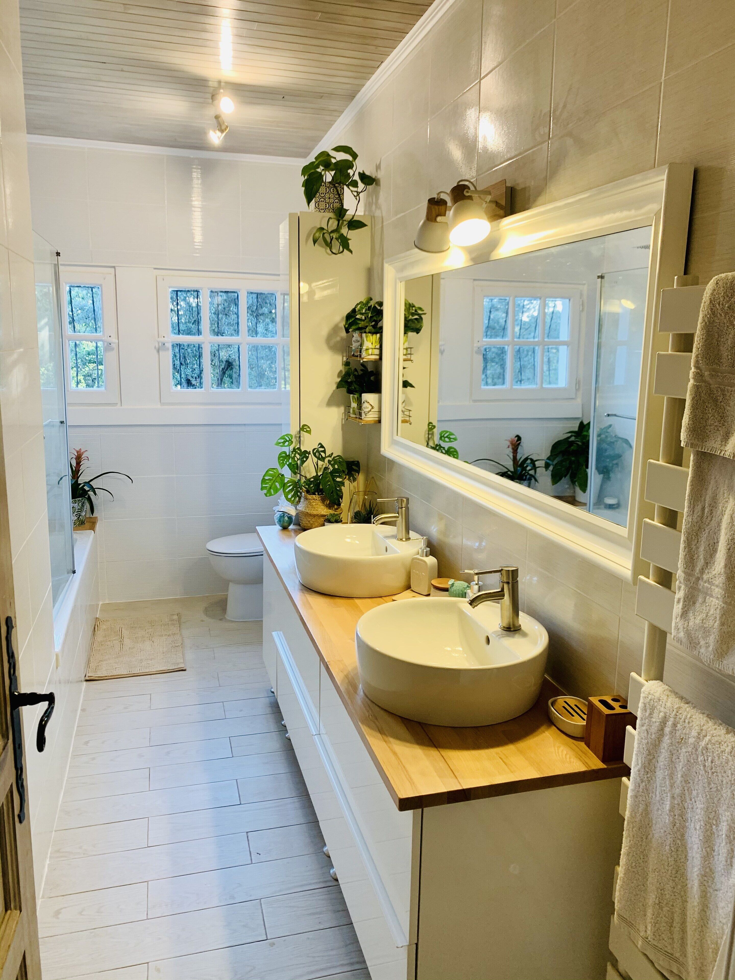 Bathtub, hair dryer, soap, toilet paper