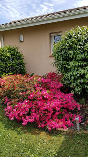 تفاصيل الفندق من الخارج