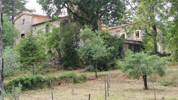 Un bâtiment rustique entouré d’arbres et délimité par une clôture.