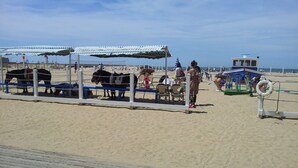 A beachside area with a fenced enclosure containing horses, a lifebuoy, and a boat.