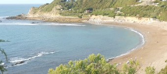 apartment of 75 m2 ascain