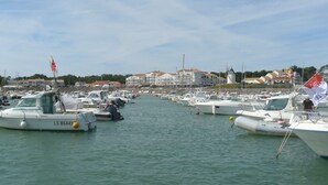 A marina with multiple boats docked.