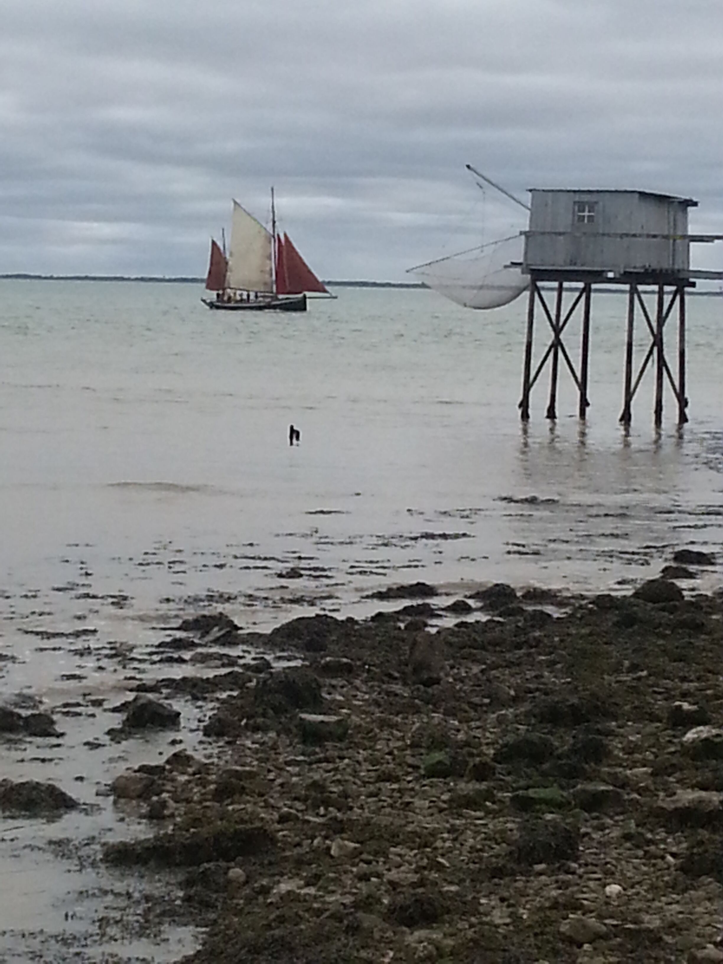 A rocky shoreline with a sailboat in the distance and a structure on stilts.