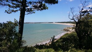 Playa en los alrededores 