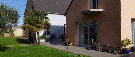 A modern house with a large patio, a palm tree, and several potted plants.