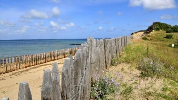 Une plage avec une clôture en bois, un rivage sablonneux et une colline herbeuse en arrière-plan.