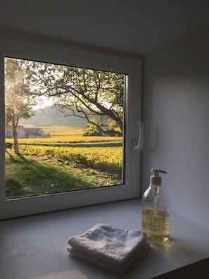 Una ventana con vistas a un viñedo, una botella de jabón líquido y una toalla doblada sobre un repisa.