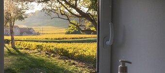 La Maison du Clos du Roi, séjour au Coeur des Vignes en Bourgogne 