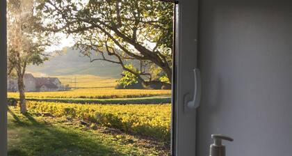 La Maison du Clos du Roi, stay in the heart of Burgundy's vineyards