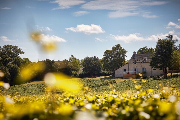 A house with a sloped roof, surrounded by trees and a field of crops. - La Maison du Clos du Roi: A Stay in the Heart of the Vineyards & a Wine Tasting Experience (Mercurey)
