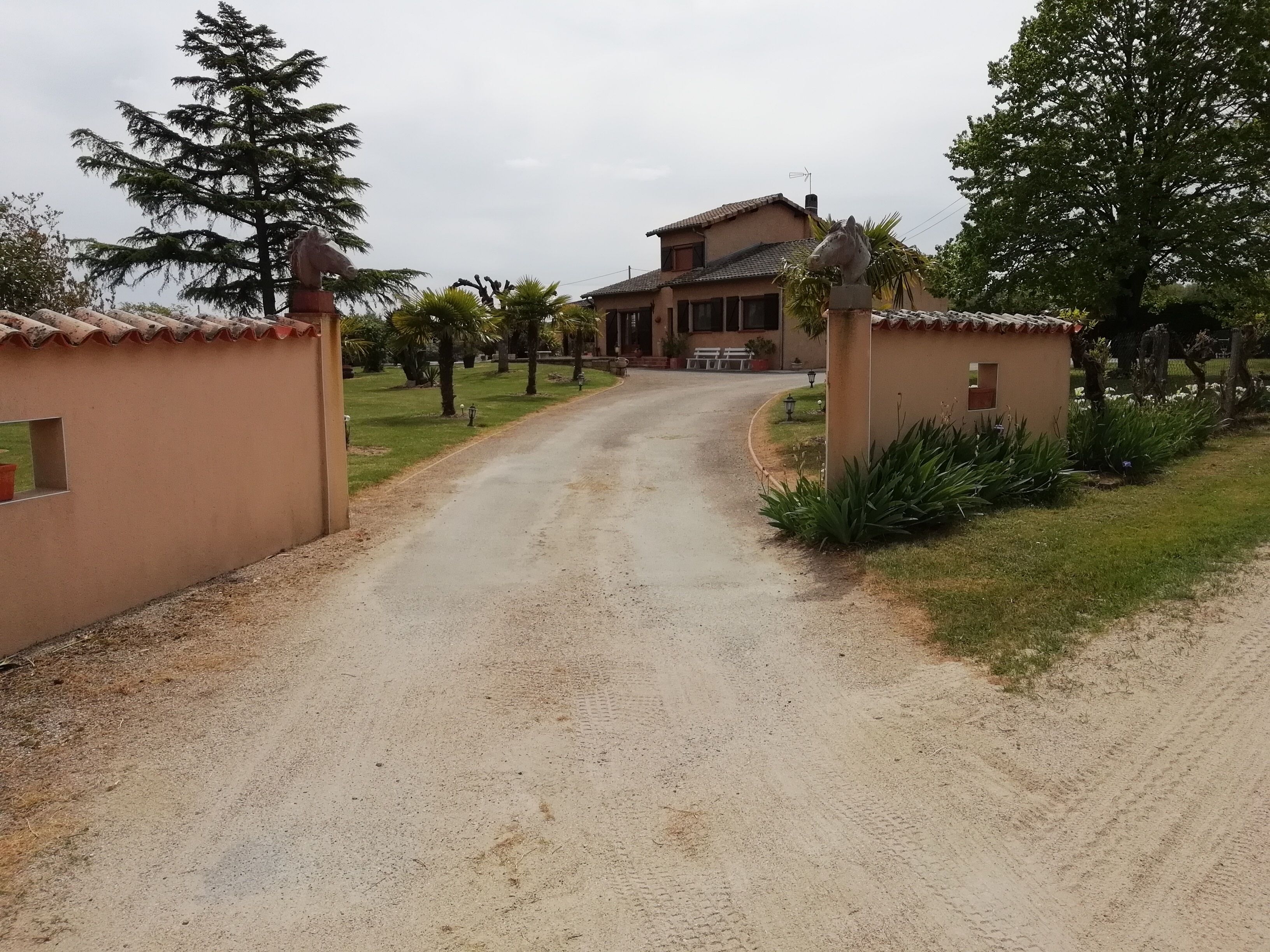 Terrein van de accommodatie