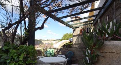 apartment rental in Collioure