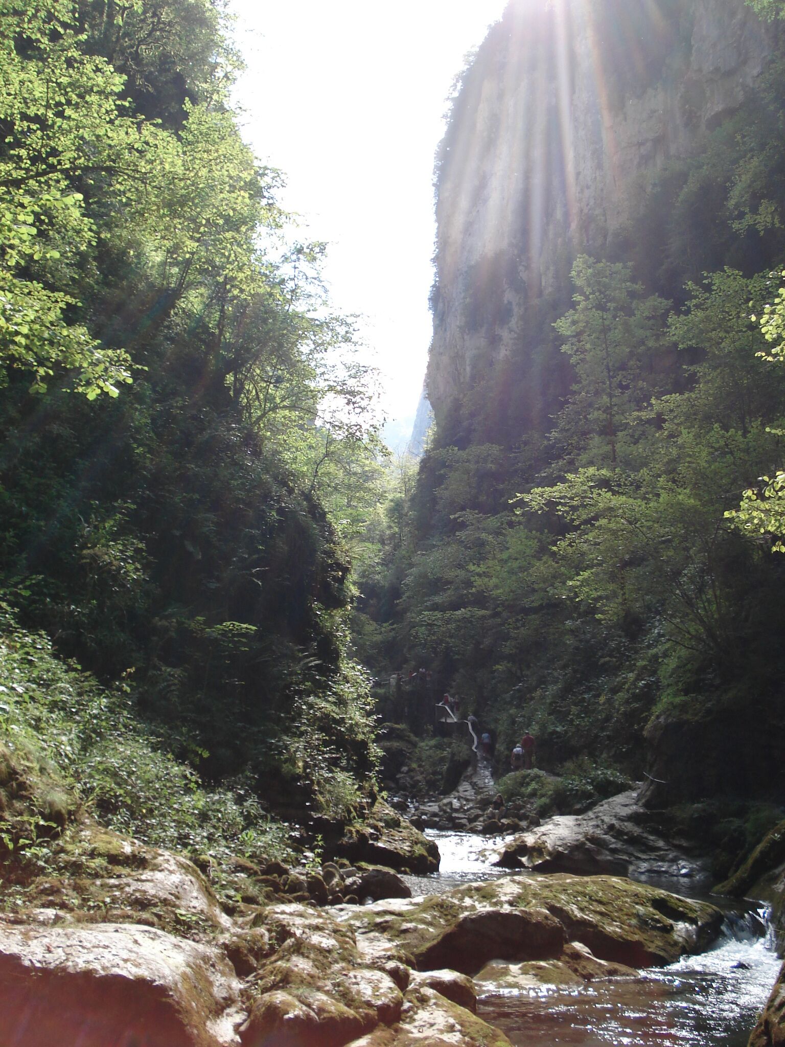 A narrow canyon with a river flowing through it, surrounded by dense green foliage and rocky terrain.
