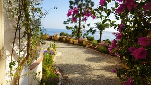 A gravel pathway leading to a beach with bougainvillea flowers and a palm tree. - Fantastic 180° sea view, charm of bygone days, space and confort (Cannes)