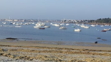Playa en los alrededores y camastros