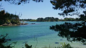 In StrandnĂ€he, LiegestĂŒhle