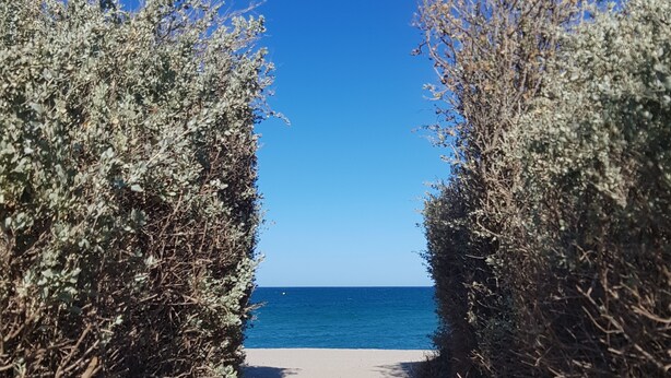 A pathway leading to a beach with clear blue sky and ocean. - Studio cabin 4 pers, in quiet residence with swimming pool, 50 m from the beach (Saint-Cyprien)