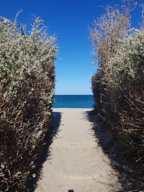 Ein Weg, der zu einem Strand mit blauem Himmel und Meer führt.