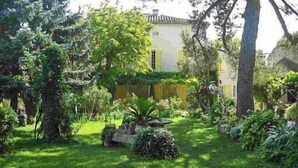 A lush garden with a variety of plants and trees, a stone bench, and a building with a yellow facade in the background. - Apartment in traditional farmhouse with swimming pool for 2 people, 2 bedrooms (Saint-Rémy-De-Provence)