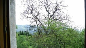 A window with a view of a lush green landscape, including trees and a grassy field. - Old Farmhouse (Rupt-Sur-Moselle)