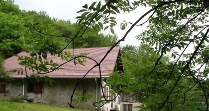 Cette ancienne maison vous offre calme, sérénité , pêche au coeur de la nature.