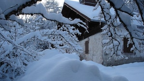 A snow-covered landscape with a rustic building partially obscured by snow-laden branches. - Old Farmhouse (Rupt-Sur-Moselle)
