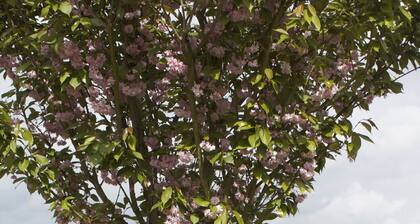 GĂźte de charme au calme entre campagne et mer ! En famille , entre amis.........