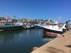 Puerto deportivo