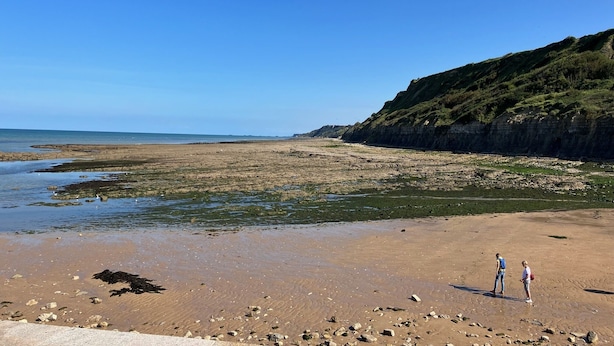 Ein Strand mit felsigem Gelände und einer Klippe.