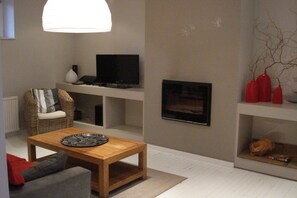 TV, fireplace, DVD player, books