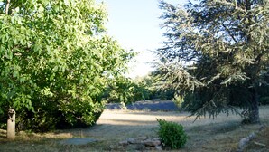 A natural landscape with a variety of trees and a grassy area. - Large traditional stone house with swimming pool (Murs)
