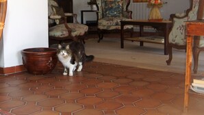 A living room with a tiled floor, wooden furniture, and a cat. - Large traditional stone house with swimming pool (Murs)