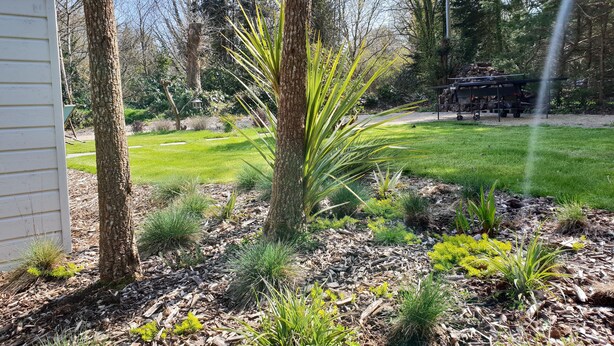 A landscaped garden with a lawn, trees, and a water feature. - Warm house in the heart of a forest, close to shopping and beaches (Fouesnant)