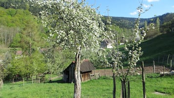 Enceinte de lâhĂ©bergement