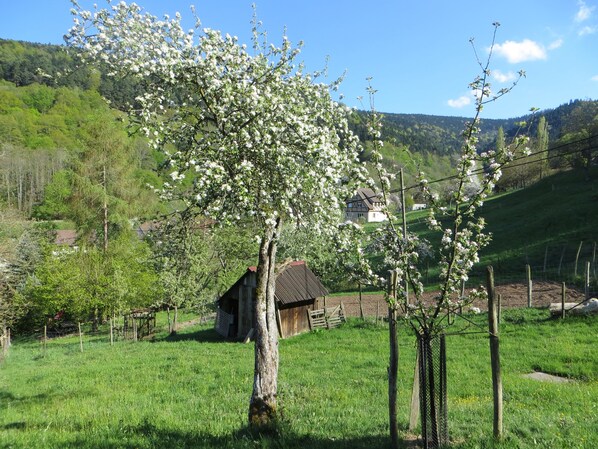 Áreas de la propiedad