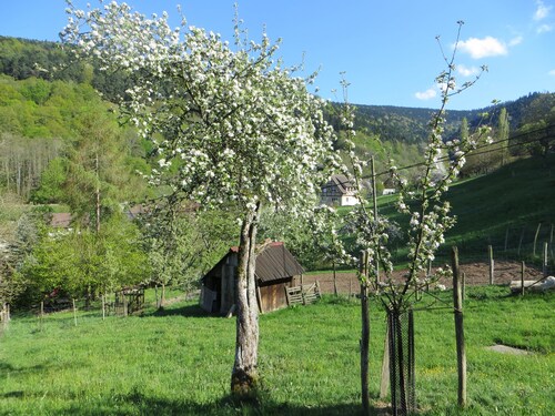 Gîte "La Fermette" in the Munster valley in Alsace.