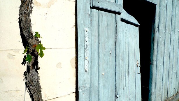 Una puerta de madera desgastada con un diseño sencillo, un ventanal pequeño y un árbol creciendo junto a la pared.