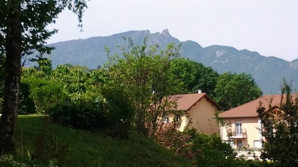 Zona residencial con casas rodeadas de vegetación y montañas al fondo.