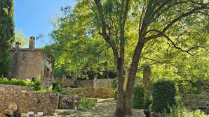 A stone pathway leading through a garden with a large tree and stone walls.