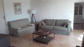 Télévision, cheminée, lecteur de DVD, livres