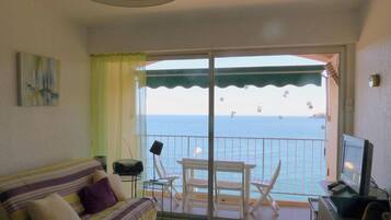 Télévision, lecteur de DVD, livres, chaßne hi-fi