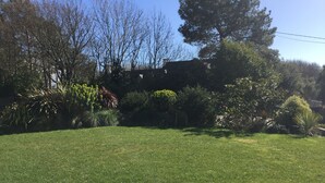 Une cour bien entretenue, recouverte de gazon, avec un chemin de gravier, et bordée de divers arbustes et arbres.