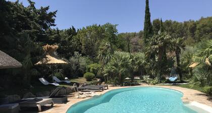 Villa provenzal con los servicios ambientales de los bosques de pino hermosa piscina