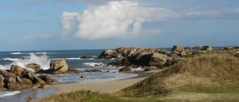 بالقرب من الشاطئ