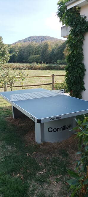 Een tafeltennistafel met het label 'Cornilleau' in een grasrijk buitengebied, met een berg op de achtergrond.