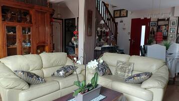 Télévision, lecteur de DVD, table de tennis de table, livres