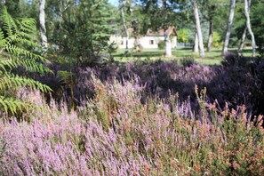 المنطقة المحيطة بالمنشأة